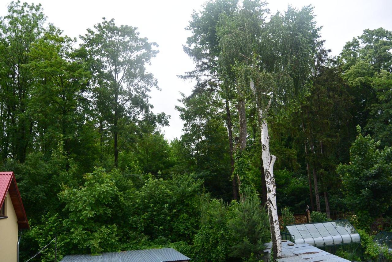 Apartmán Sonia Polanica-Zdrój Exteriér fotografie